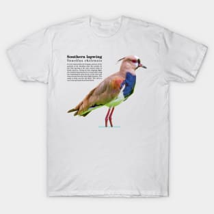 Southern lapwing tropical bird black text T-Shirt